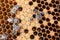 Bee brood on honeycombs. Hatching young bees, pupae, larvae, bee eggs