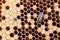 Bee brood on honeycombs. Hatching young bees, pupae, larvae, bee eggs