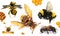 Bee, bumblebee, wasp, hornet. 3d realistic vector icon set