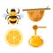 Bee cartoon image lemon and honey, vector