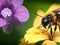 A bee collecting nectar from a flower is seen in detail in a macro shot.