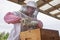 Bee farming is a labor of love. a beekeeper opening a hive frame on a farm.