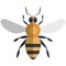 Bee flat vector icon illustration isolated on white