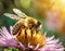 Bee and flower. Close up of a large striped bee collects honey on a flower on a Sunny bright