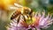 Bee and flower. Close up of a large striped bee collects honey on a flower on a Sunny bright