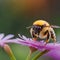 bee on the flower, copy space, colorful bee, purple flower