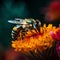 Bee on a flower. Macro shot. Shallow depth of field.