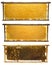Bee frames with honey and bee brood