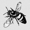 Bee hand drawing, black sketch insect on a transparent background. Vector illustration