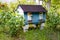 Bee hive among currant bushes in summer garden