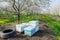 bee hive entrance on the almond trees farm. Close up of a honey bee hive. Blooming trees homey nectar