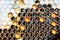 Bee Hive Hexagon Honeycomb Pattern and Honey