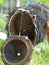 Bee hive made of coconut in Bali Indonesia