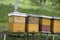 Bee hives