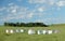 Bee hives in alfalfa fields of Idaho.