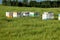 Bee hives in alfalfa fields of Idaho.