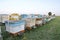 Bee hives in the apiary in the field