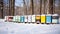 the bee hives covered in pristine white snow, nestled in a tranquil winter scene. The image should convey the stillness