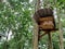 Bee hives in forest