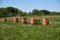 Bee hives on green village meadow on summer day.