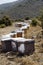 Bee hives, in the high mountains, elaboration of the rich honey.