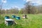 Bee hives in a meadow by the forest