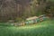 Bee hives on meadow in Italy