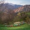 Bee hives on meadow near Bergamo