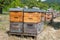Bee hives in orchard