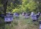 Bee hives stand in the forest