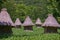 Bee hives with thatched roofs stand in rows among the trees.