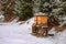 Bee hives in winter