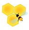 Bee on honey cells vector