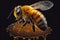 Bee on honey, honeybee macro. Realistic ilustration. Generative ai