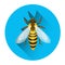 Bee Honey Insect Apiary Icon