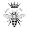 Bee and Honey logo. Mead and insect and floral and Beekeeping. Honeycomb and hive Vector Engraved hand drawn Vintage