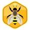 bee on honeycell, vector