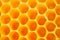 Bee and Honeycomb