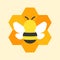 Bee and honeycomb icon