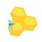 Bee on honeycomb. Isolated vector clip art