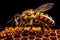 Bee on a honeycomb. World bee day background. Generative Ai.