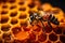 Bee on a honeycomb. World bee day background. Generative Ai.