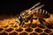 Bee on a honeycomb. World bee day background. Generative Ai.
