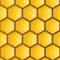 Bee honeycomb, yellow, hexagons texture, background vector