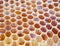 Bee honeycombs backgrounds.