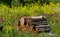 Bee hotel, made of a pile of logs, with colourful flowers growing in the surrounding meadow.