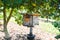 Bee house beehive in the garden, wooden honeycomb in the tropical orchard under the tree