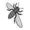 A bee, a hymenopteran insect. Stinging insect bee single icon in monochrome style vector symbol stock isometric