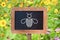 Bee icon on a wooden sign, wild flowers background. Bee conservation zone concept