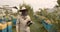 Bee keeper dressed in protective suit and gloves using a smoker